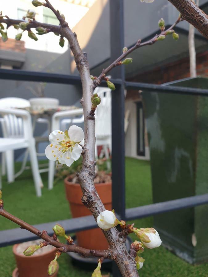 낙산 발코니 아파트 *